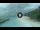 Webcam in Meeru Island (North Malé Atoll), 48.2 mi away
