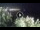 Webcam in Addaura, 0.3 km