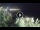 Webcam in Addaura, 0.1 mi away