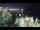 Webcam in Addaura, 62.4 km