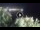 Webcam in Addaura, 57.7 km