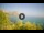Webcam in Addaura, 0.6 mi away
