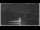 Webcam in Pisa, 29.4 km entfernt