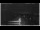 Webcam in Pise, 39.8 km