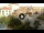 Webcam in Torrelavega, 28.3 mi away