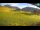 Webcam in Livigno, 0.5 km