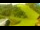 Webcam in Stari Vrh Ski Resort, 23.9 km entfernt