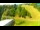 Webcam in Stari Vrh Ski Resort, 9.3 mi away