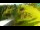 Webcam in Stari Vrh Ski Resort, 3.9 mi away