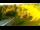 Webcam in Stari Vrh Ski Resort, 18.8 km entfernt