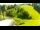 Webcam in Stari Vrh Ski Resort, 10.9 km