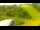 Webcam in Stari Vrh Ski Resort, 6.7 mi away