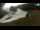 Webcam in Stari Vrh Ski Resort, 11.8 km entfernt
