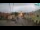 Webcam in Bednja, 11.7 mi away