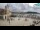 Webcam in Rovinj, 6.4 mi away