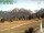 Webcam in Oberstdorf-Kornau, 1.1 mi away