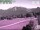 Webcam in Oberstdorf-Kornau, 0.9 mi away