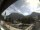 Webcam in Oberstdorf, 1.6 km