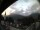 Webcam in Oberstdorf, 0.1 mi away