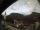 Webcam in Oberstdorf, 0.4 km