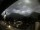 Webcam in Oberstdorf, 0.2 km