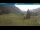 Webcam in Oberstdorf, 2.6 km entfernt