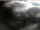 Webcam in Oberstdorf, 0.2 mi away
