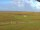 Webcam on Baltrum, 0.2 mi away