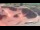 Webcam in Perpignan, 0.7 mi away