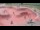 Webcam in Perpignan, 10.8 km entfernt