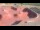 Webcam in Perpignan, 4.2 mi away