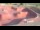 Webcam in Perpignan, 1.1 mi away