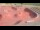 Webcam in Perpignan, 0.7 mi away