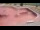 Webcam in Perpignan, 0.7 mi away