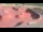 Webcam in Perpignan, 2 km entfernt