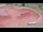Webcam in Perpignan, 1.1 mi away