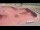 Webcam in Perpignan, 4.2 mi away