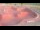Webcam in Perpignan, 10.8 km entfernt