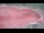 Webcam in Perpignan, 4.2 mi away