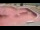 Webcam in Perpignan, 0 mi away