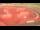Webcam in Perpignan, 2.9 mi away