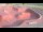 Webcam in Perpignan, 4.2 mi away