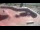 Webcam in Perpignan, 2.6 km