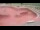 Webcam in Perpignan, 12.7 mi away