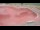 Webcam in Perpignan, 0 km entfernt