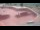 Webcam in Perpignan, 4.2 mi away