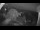 Webcam in Klingenthal, 10.6 km