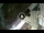Webcam in Siena, 13.4 mi away