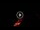 Webcam in Siena, 0 km entfernt