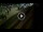 Webcam in Sienne, 0.1 km